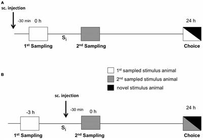 Differential Effects of Novel Dopamine Reuptake Inhibitors on Interference With Long-Term Social Memory in Mice